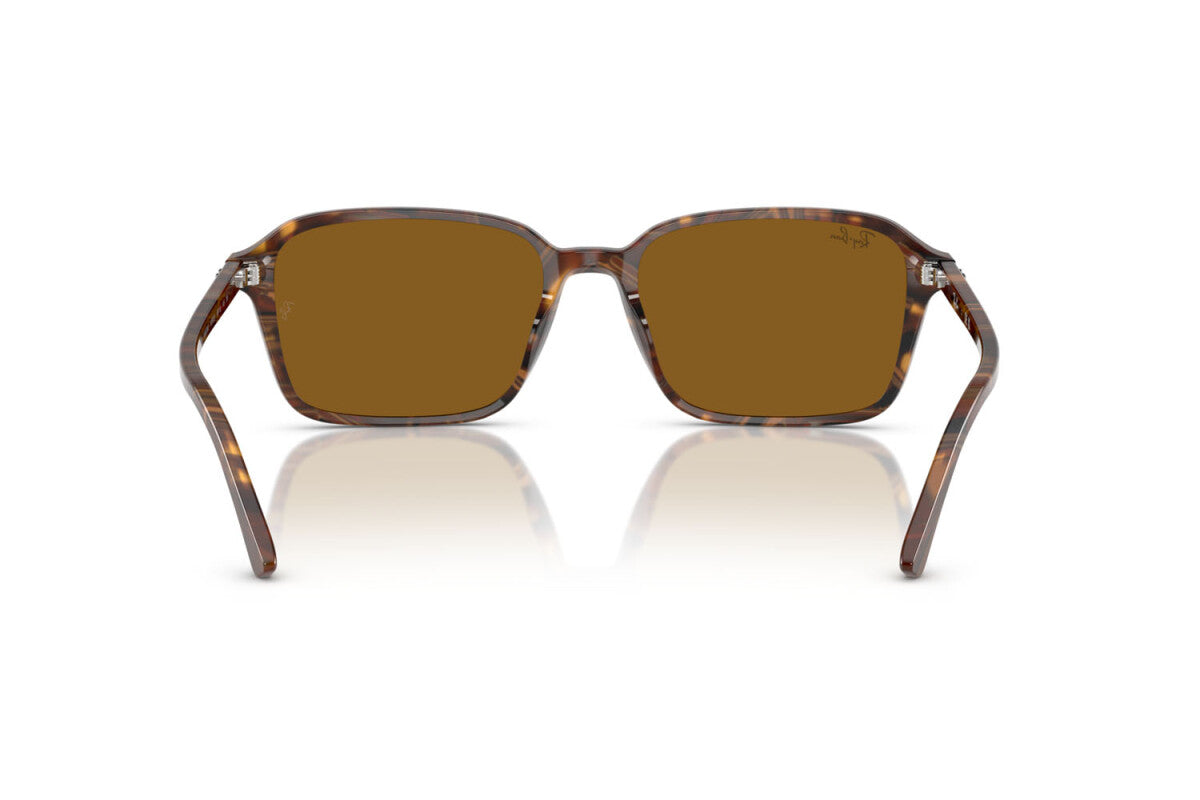 Ray-Ban Raimond RB2231