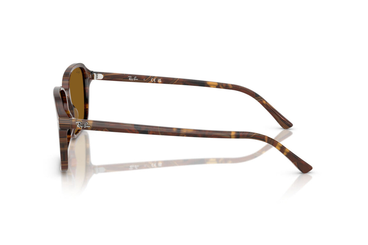 Ray-Ban Raimond RB2231