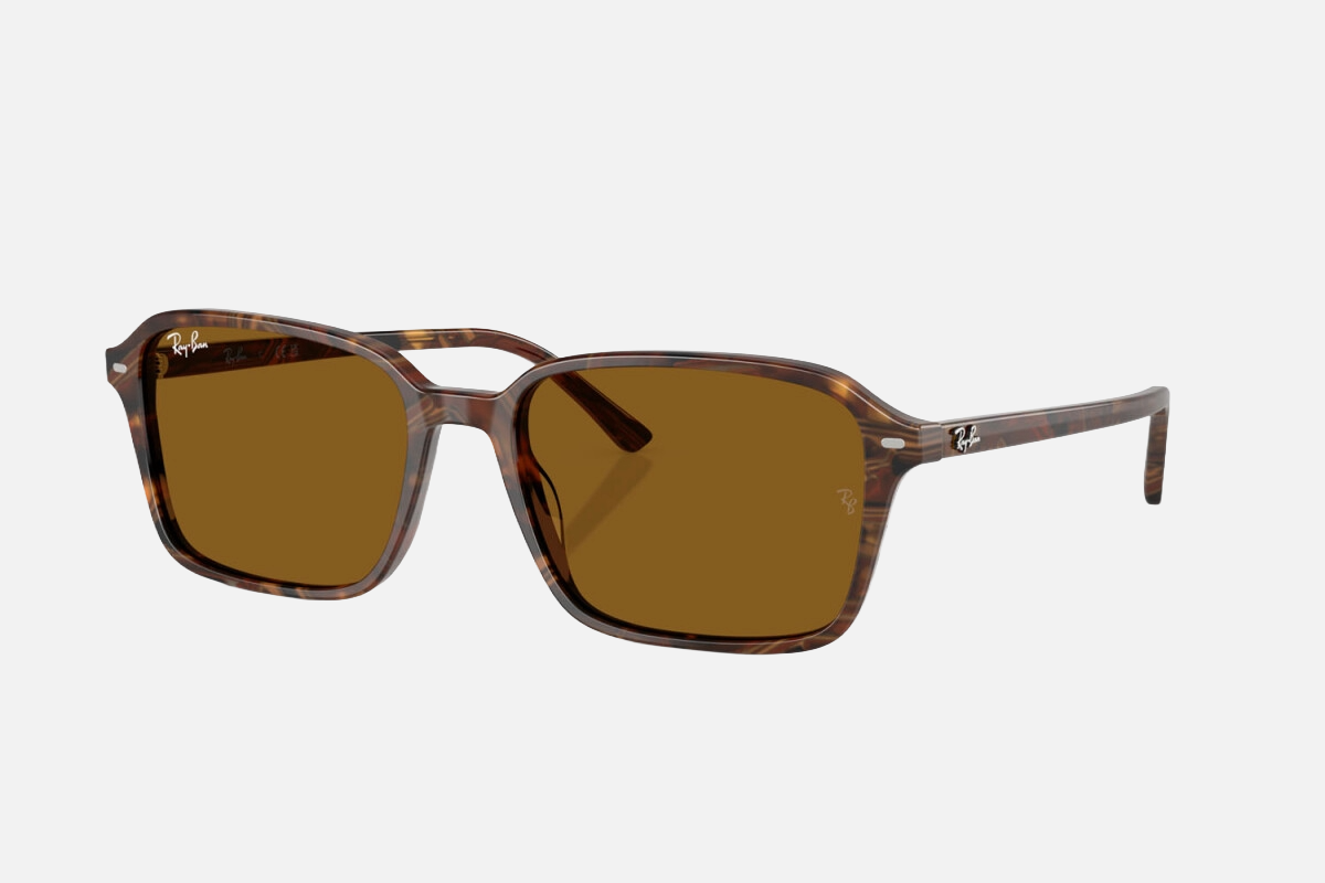 Ray-Ban Raimond RB2231