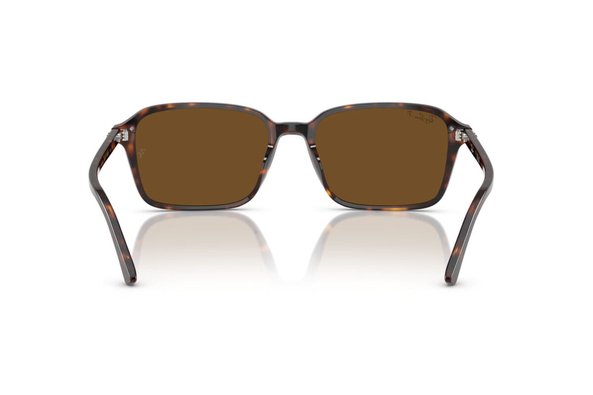 Ray-Ban Raimond RB2231