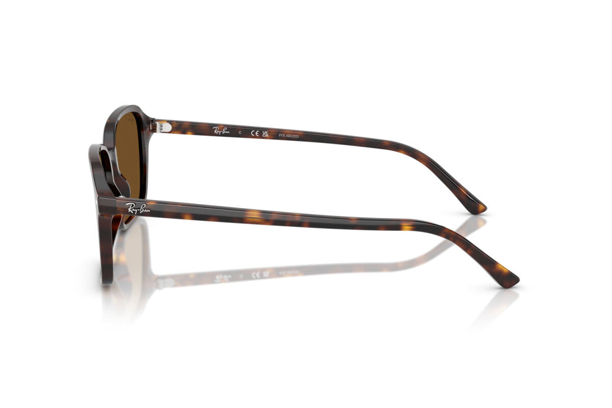 Ray-Ban Raimond RB2231