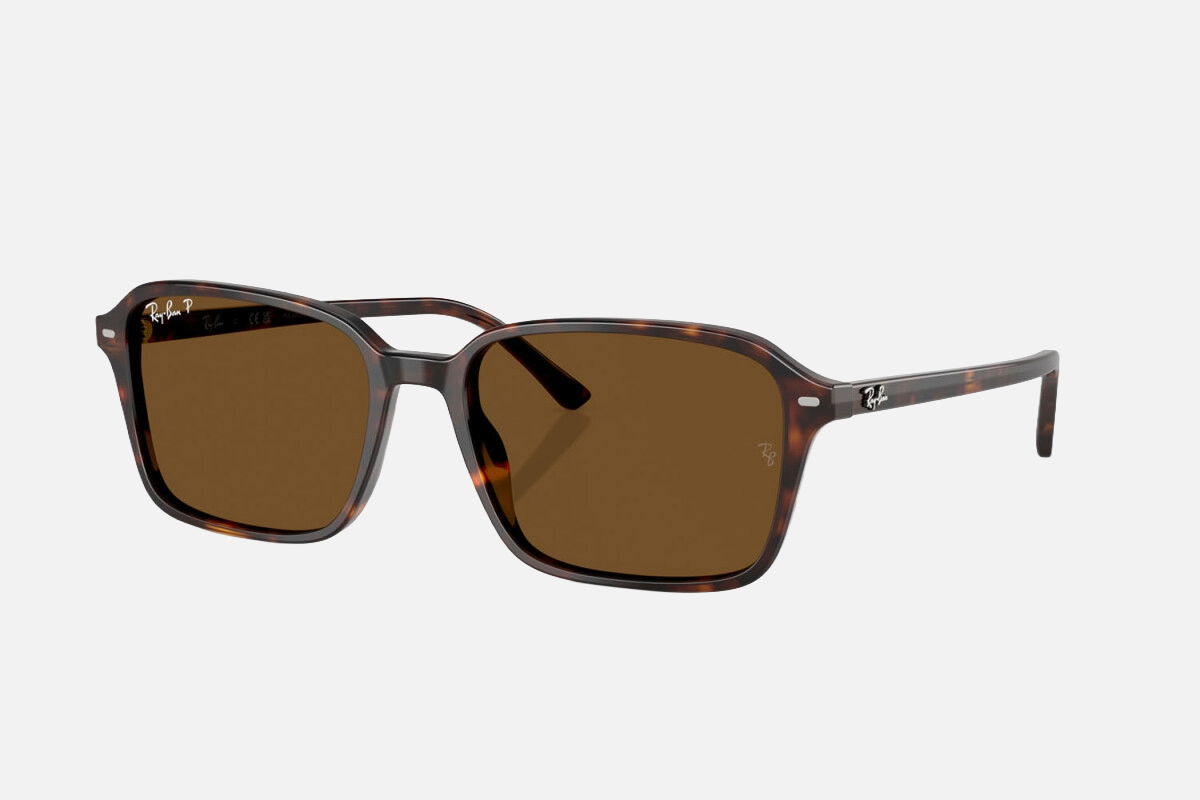 Ray-Ban Raimond RB2231