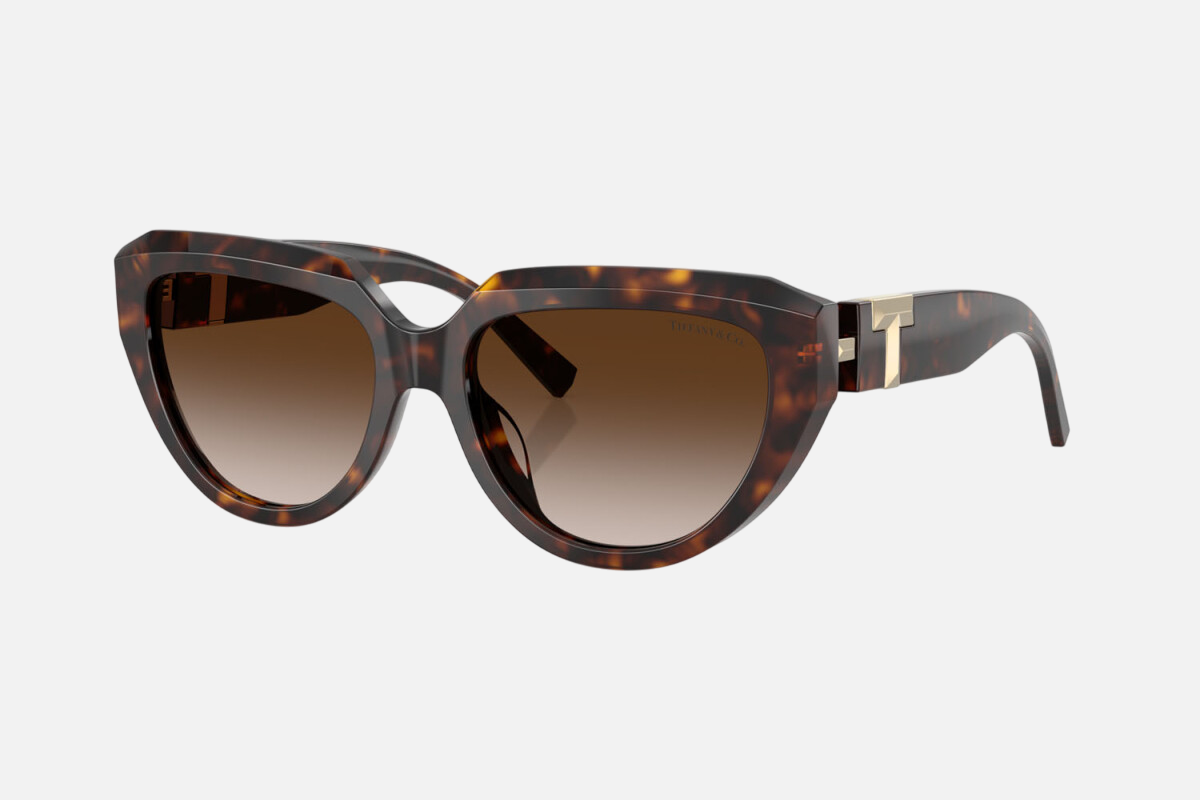 Tiffany TF4238U 80153B women's full rim cat eye sunglasses in a havana acetate frame with brown gradient lenses. Features a 55 mm lens size, 17 mm bridge size, and 140 mm temple length. Available in Dubai, UAE.