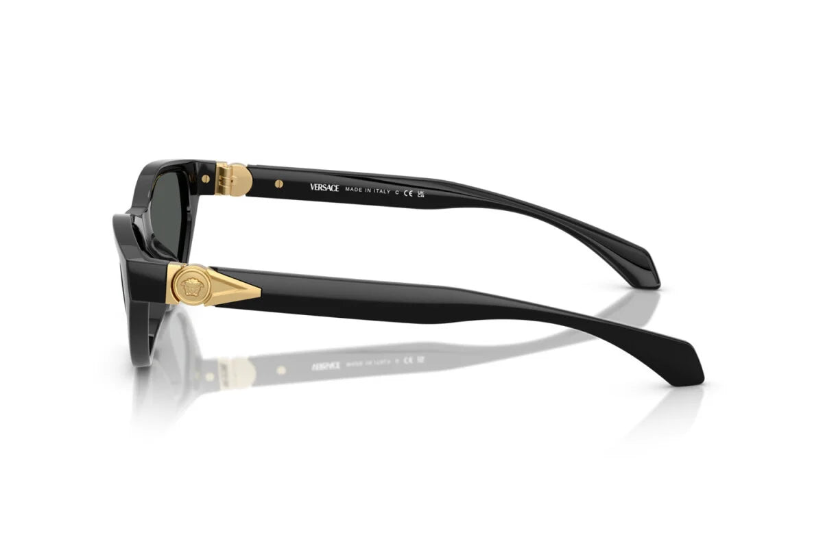 Versace VE4491U
