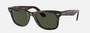 Ray-Ban Original Wayfarer Classic RB2140 902 unisex's full rim square sunglasses in a polished tortoise acetate frame with g-15 green lenses. Features a 54 mm lens size, 22 mm bridge size, and 150 mm temple length. Available in Dubai, UAE.