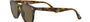 Ray-Ban RB4259 710/73 round sunglasses for unisex in full rim plastic, with light havana frame, and brown lenses. 51mm in lens size, 20mm in bridge size, and 145mm in temple length.