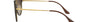 Ray-Ban Blaze Double Bridge RB4292N 710/13 round sunglasses for unisex in full rim plastic, with light havana frame, and brown gradient lenses. 62mm in lens size, 14mm in bridge size, and 145mm in temple length.