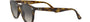 Ray-Ban RB4259 710/11 round sunglasses for unisex in full rim plastic, with light havana frame, and grey gradient lenses. 51mm in lens size, 20mm in bridge size, and 145mm in temple length.