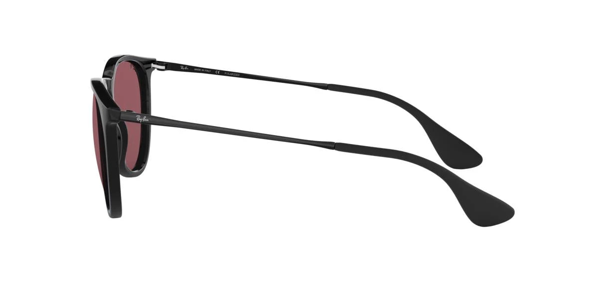 Ray-Ban Erika Classic RB4171