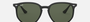 Ray-Ban RB4306 601/71 round sunglasses for unisex in full rim plastic, with black frame, and dark green lenses. 54mm in lens size, 19mm in bridge size, and 145mm in temple length.