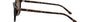 Ray-Ban Leonard RB2193 902/57 square sunglasses for unisex in full rim plastic, with havana frame, and brown lenses. 53mm in lens size, 18mm in bridge size, and 145mm in temple length.