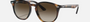 Ray-Ban Junior RJ9070S 152/13 irregular sunglasses for kids in full rim injected, with polished havana frame, and brown/dark brown lenses. 46mm in lens size, 16mm in bridge size, and 130mm in temple length.