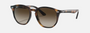 Ray-Ban Junior RJ9070S 152/13 irregular sunglasses for kids in full rim injected, with polished havana frame, and brown/dark brown lenses. 46mm in lens size, 16mm in bridge size, and 130mm in temple length.