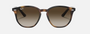 Ray-Ban Junior RJ9070S 152/13 irregular sunglasses for kids in full rim injected, with polished havana frame, and brown/dark brown lenses. 46mm in lens size, 16mm in bridge size, and 130mm in temple length.