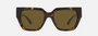 Versace VE4409 10873 square sunglasses for women in full rim plastic, with havana frame, and dark brown lenses. 53mm in lens size, 19mm in bridge size, and 140mm in temple length.