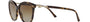Bvlgari BV8235 504/T5 cat-eye sunglasses for women in full rim plastic, with havana frame, and brown gradient lenses. 55mm in lens size, 17mm in bridge size, and 140mm in temple length.