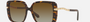Bvlgari BV8237B 504/T5 square sunglasses for women in full rim plastic, with havana frame, and gradient brown lenses. 55mm in lens size, 17mm in bridge size, and 140mm in temple length.
