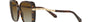 Bvlgari BV8237B 504/T5 square sunglasses for women in full rim plastic, with havana frame, and gradient brown lenses. 55mm in lens size, 17mm in bridge size, and 140mm in temple length.