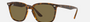 Ray-Ban RB4362 710/73 square sunglasses for unisex in full rim plastic, with havana frame, and dark brown lenses. 55mm in lens size, 18mm in bridge size, and 145mm in temple length.