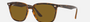 Ray-Ban RB4362 710/83 square sunglasses for unisex in full rim plastic, with havana frame, and brown lenses. 55mm in lens size, 18mm in bridge size, and 145mm in temple length.
