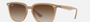 Ray-Ban RB4362 616613 square sunglasses for unisex in full rim plastic, with light brown frame, and brown lenses. 55mm in lens size, 18mm in bridge size, and 145mm in temple length.
