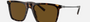 Bvlgari BV7039 504/AN square sunglasses for men in full rim plastic, with havana frame, and brown lenses. 56mm in lens size, 19mm in bridge size, and 145mm in temple length.