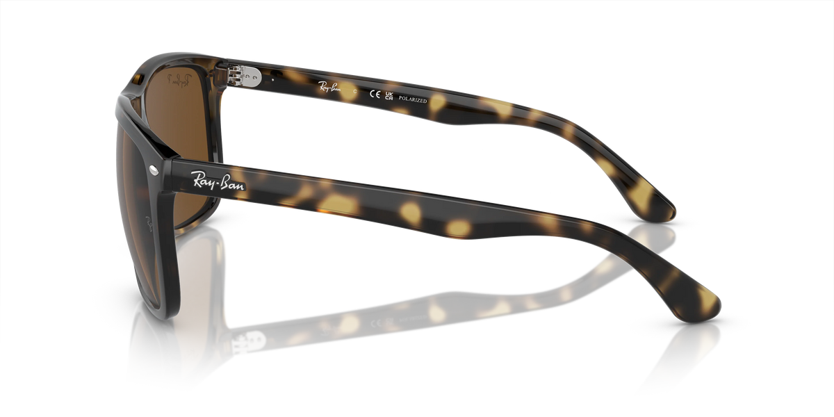 Ray-Ban Boyfriend Two RB4547