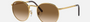 Ray-Ban New Round RB3637 001/51 round sunglasses for unisex in full rim metal, with gold frame, and light brown lenses. 53mm in lens size, 21mm in bridge size, and 140mm in temple length.