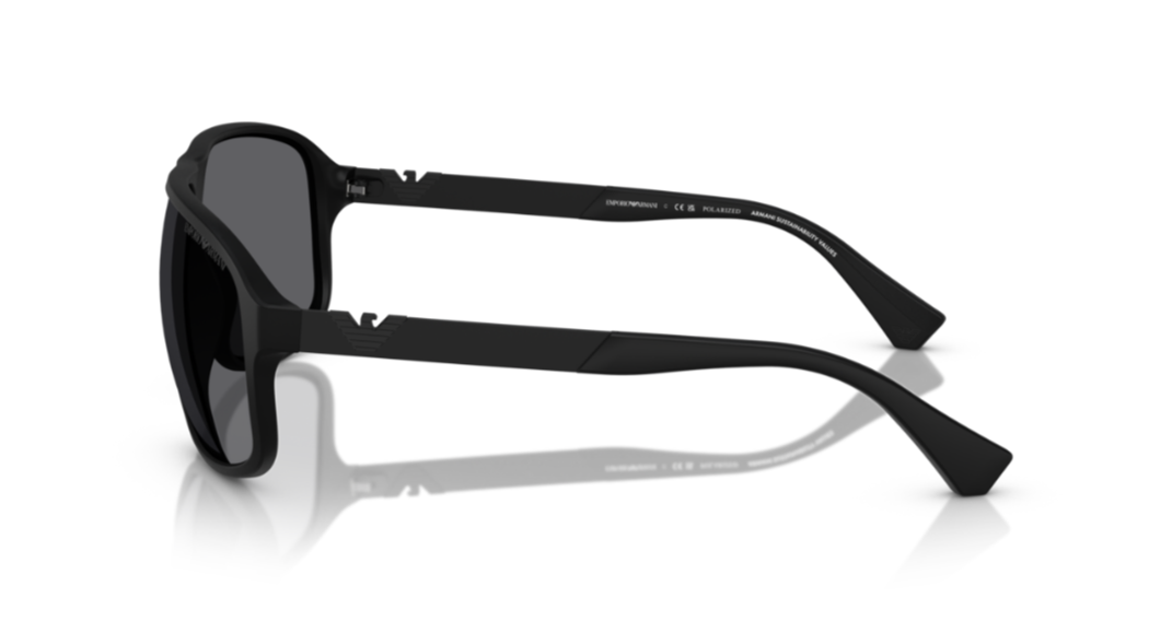 Emporio Armani EA 4029