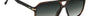 Carrera 302/S 086 square sunglasses for men in full rim plastic, with havana frame, and gradient grey lenses. 59mm in lens size, 15mm in bridge size, and 145mm in temple length.