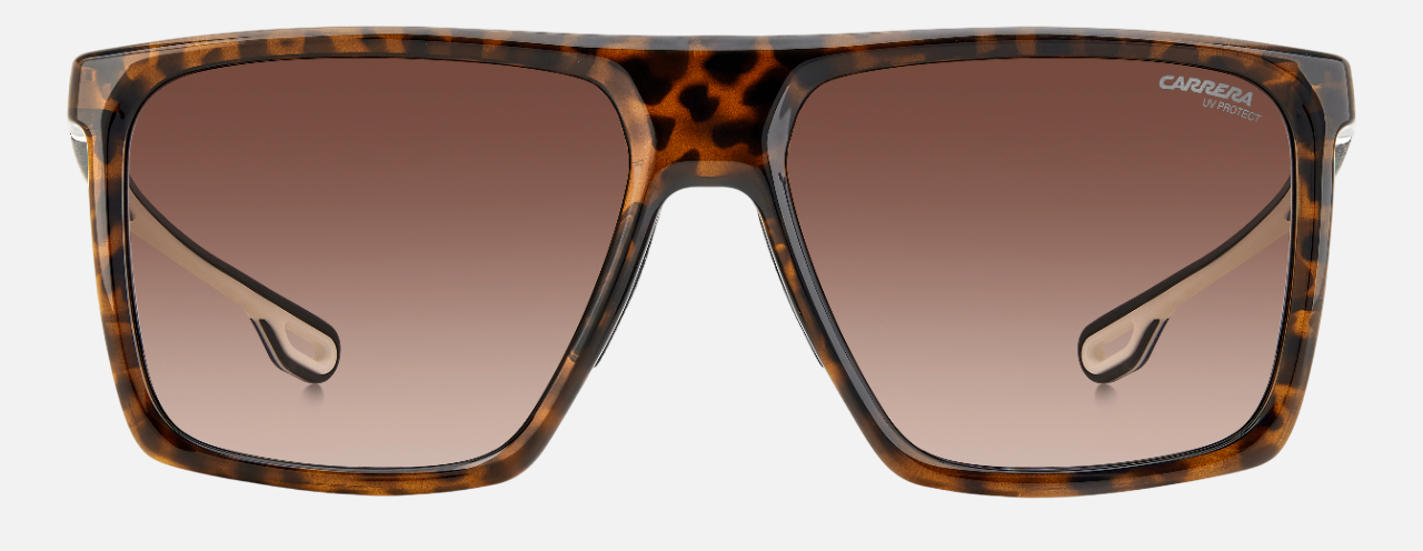 Carrera 4019/S