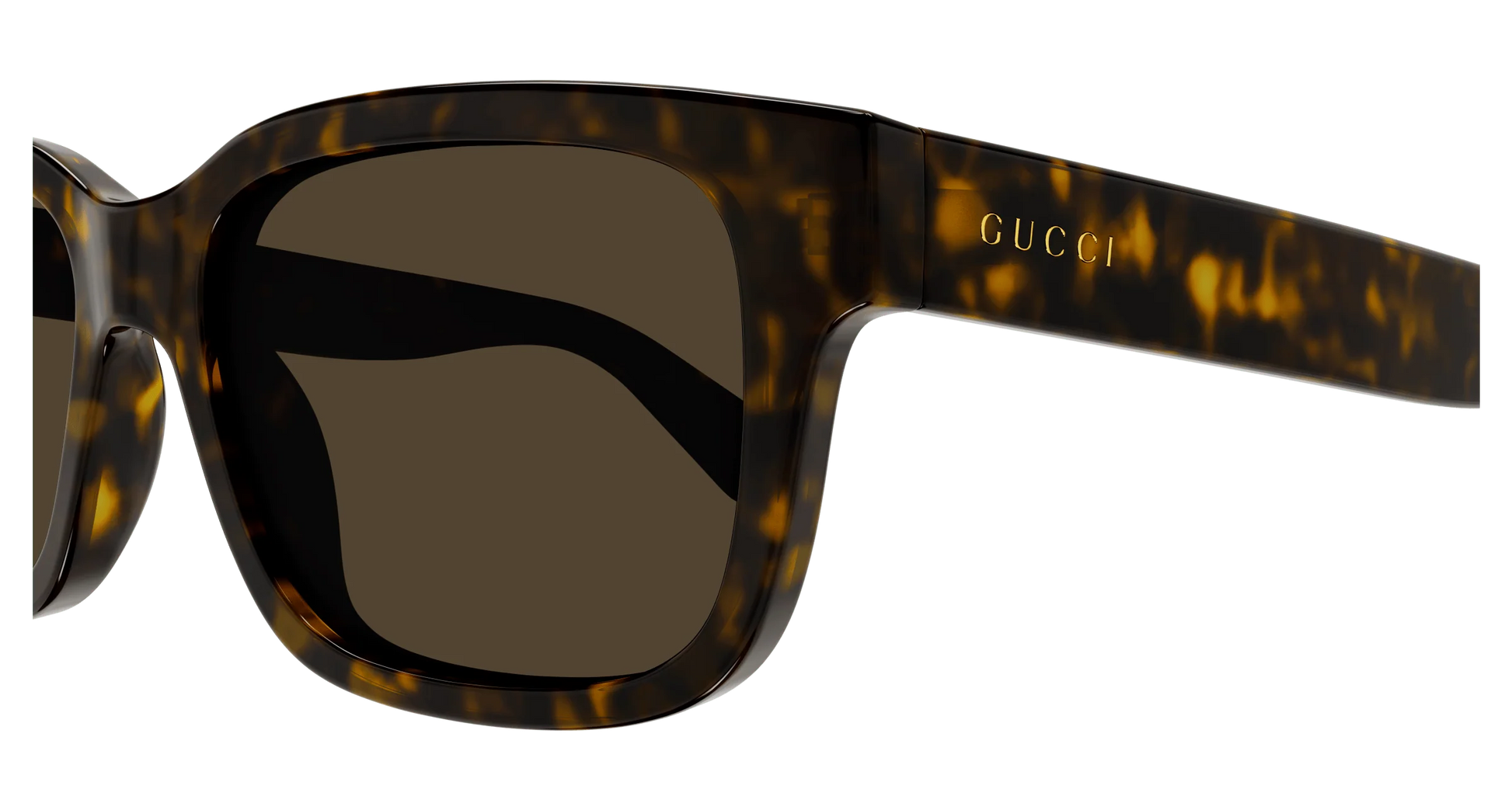 Gucci GG1583S