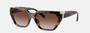 Tiffany TF4205U 80153B irregular sunglasses for women in full rim injected, with havana frame, and brown gradient lenses. 56mm in lens size, 14mm in bridge size, and 140mm in temple length.