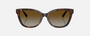 Tiffany TF4237B 8015T5 cat eye sunglasses for women in full rim acetate, with havana frame, and brown gradient lenses. 55mm in lens size, 17mm in bridge size, and 140mm in temple length.
