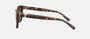 Tiffany TF4237B 8015T5 cat eye sunglasses for women in full rim acetate, with havana frame, and brown gradient lenses. 55mm in lens size, 17mm in bridge size, and 140mm in temple length.