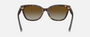 Tiffany TF4237B 8015T5 cat eye sunglasses for women in full rim acetate, with havana frame, and brown gradient lenses. 55mm in lens size, 17mm in bridge size, and 140mm in temple length.