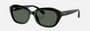 Ray-Ban Junior RJ9081S 100/71 irregular sunglasses for kids in full rim acetate, with polished black frame, and dark green lenses. 48mm in lens size, 17mm in bridge size, and 130mm in temple length.