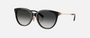 Tiffany TF4243D 80013C round sunglasses for women in full rim acetate, with black frame, and grey gradient lenses. 55mm in lens size, 19mm in bridge size, and 145mm in temple length.