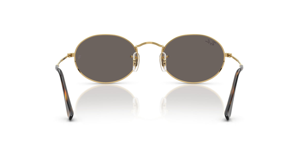 Ray-Ban Oval Flat Lenses RB3547N