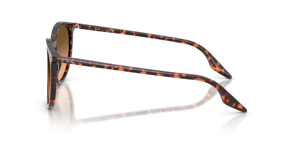 Ray-Ban RB2204