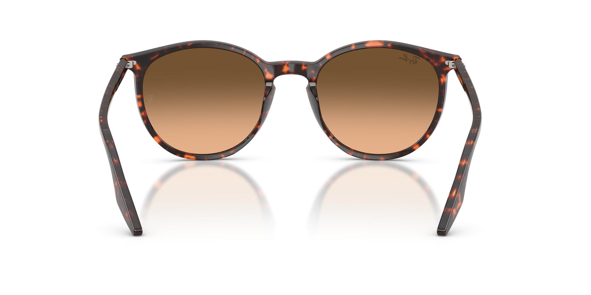 Ray-Ban RB2204