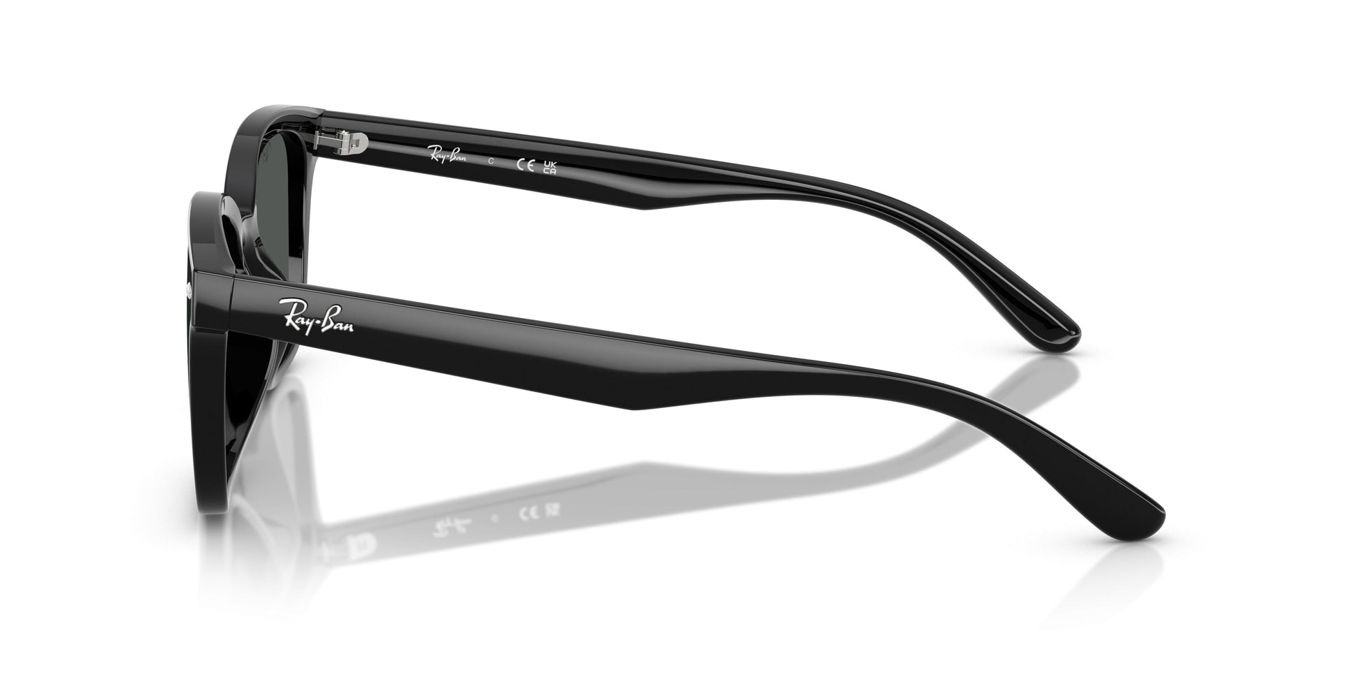 Ray-Ban RB4461D