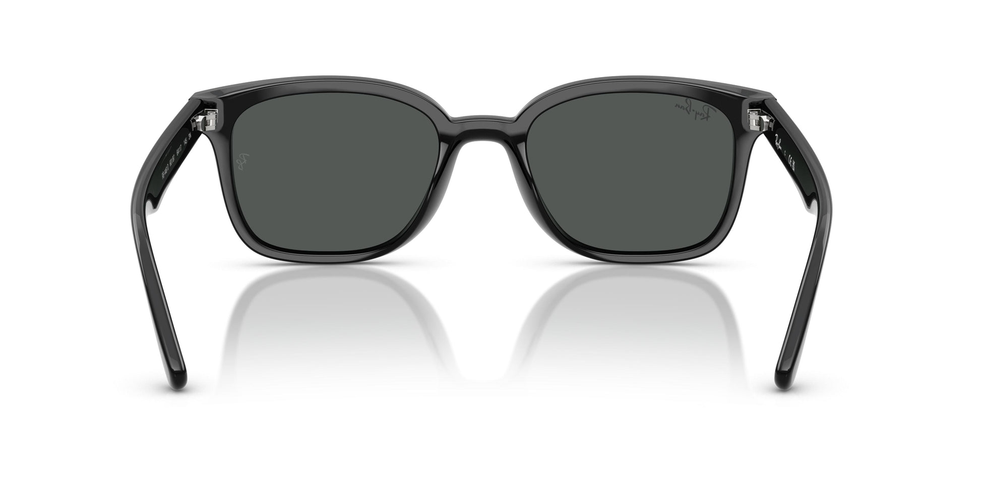 Ray-Ban RB4461D