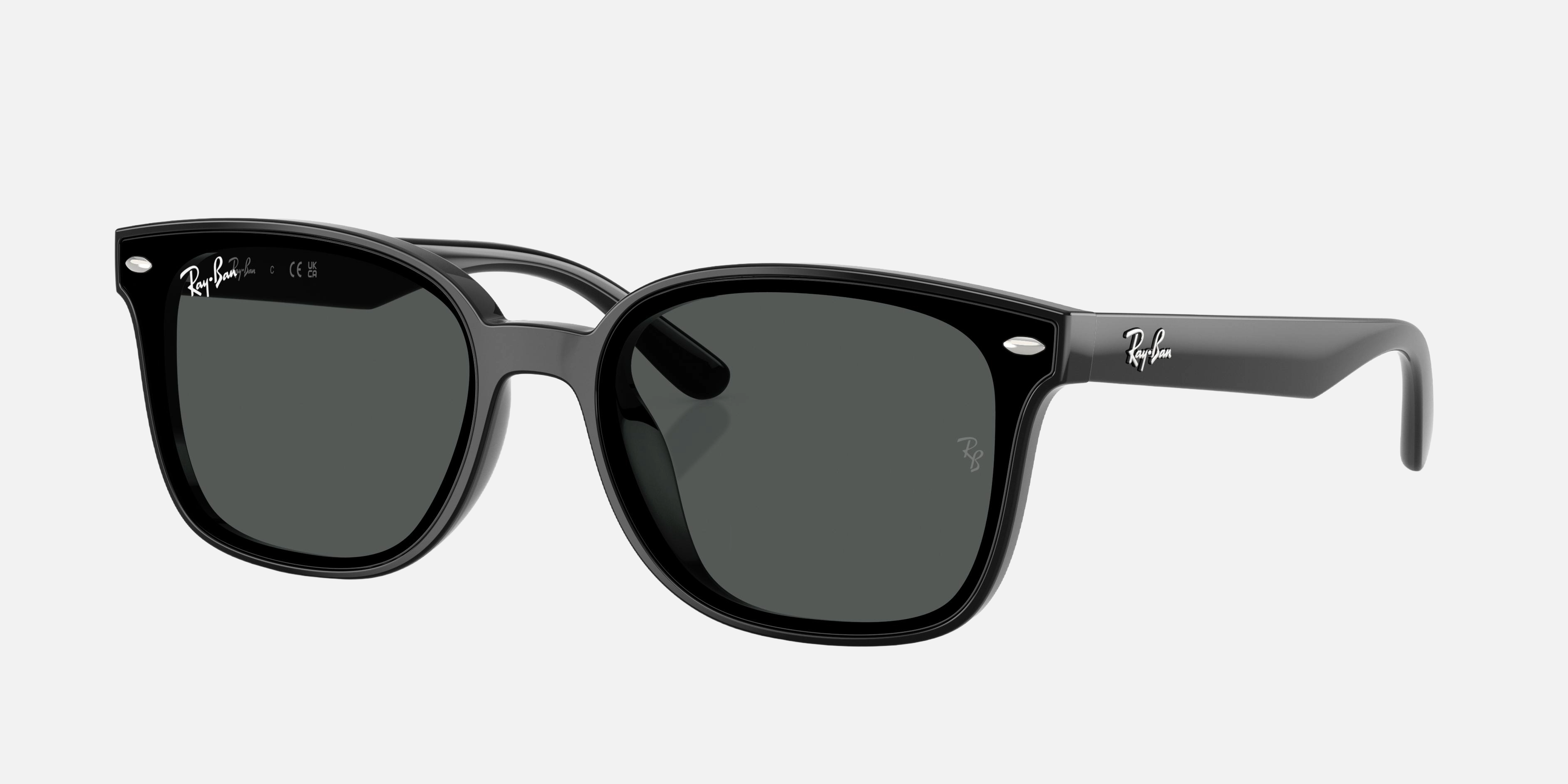 Ray-Ban RB4461D