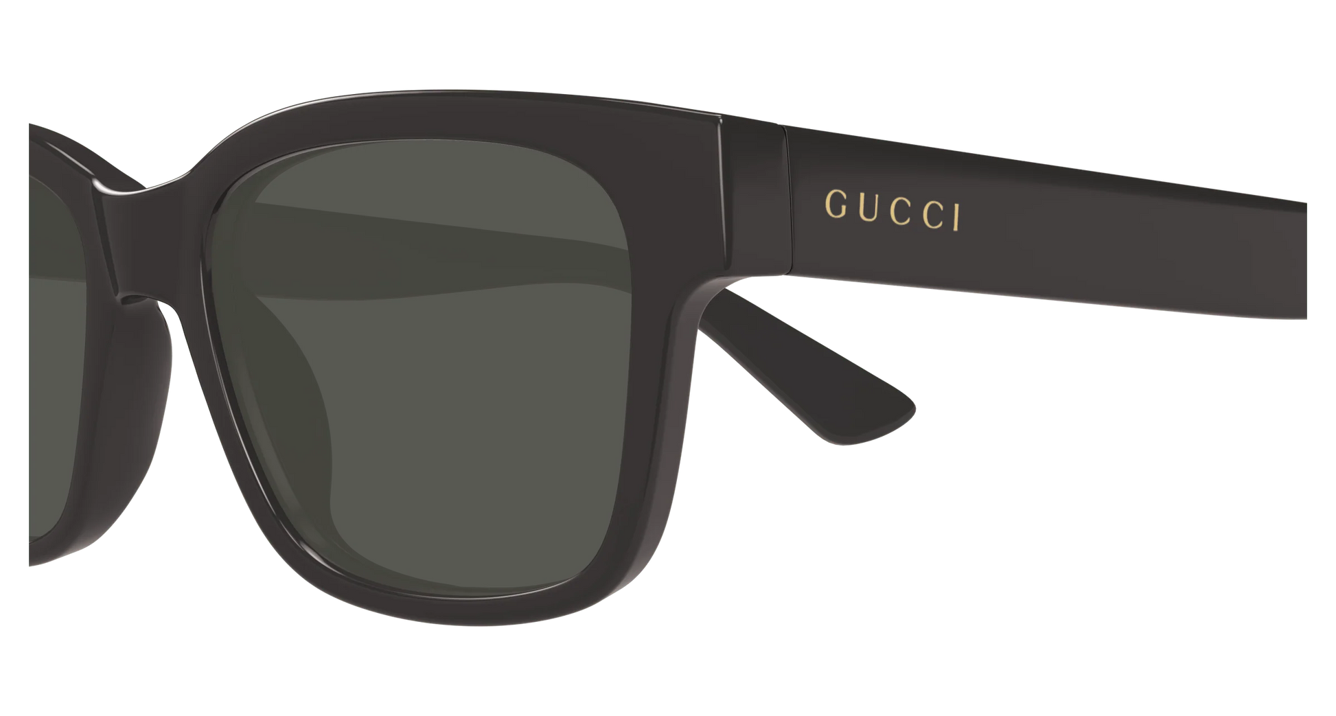Gucci GG1716S
