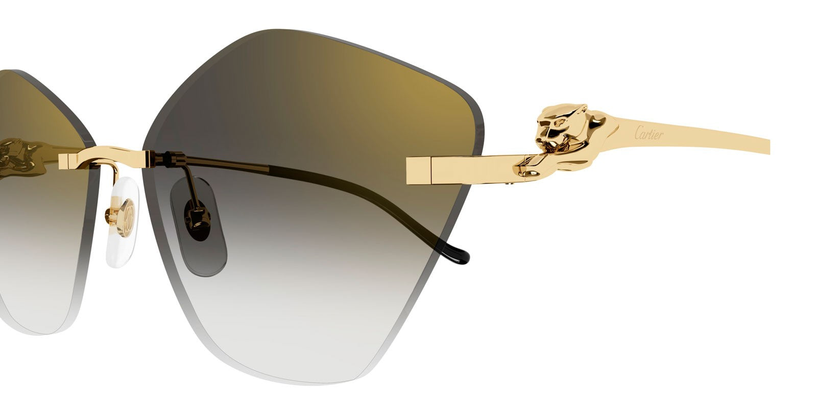 Cartier CT0429S
