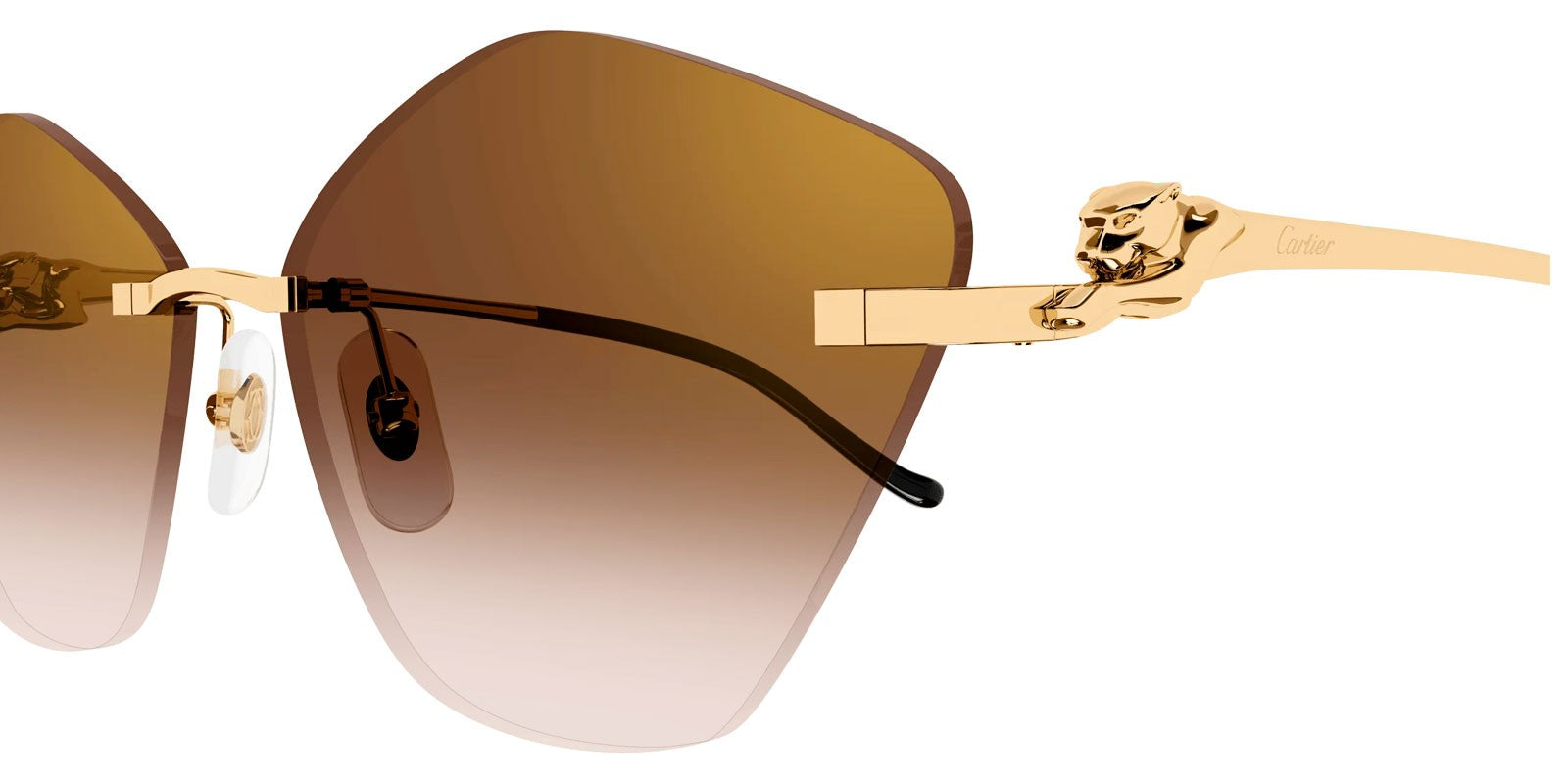 Cartier CT0429S