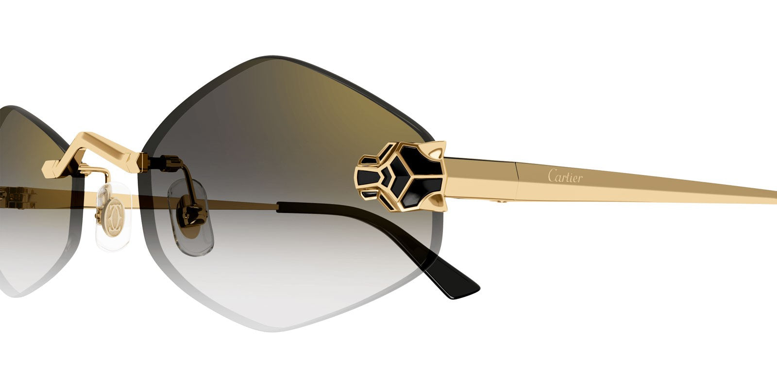 Cartier CT0433S