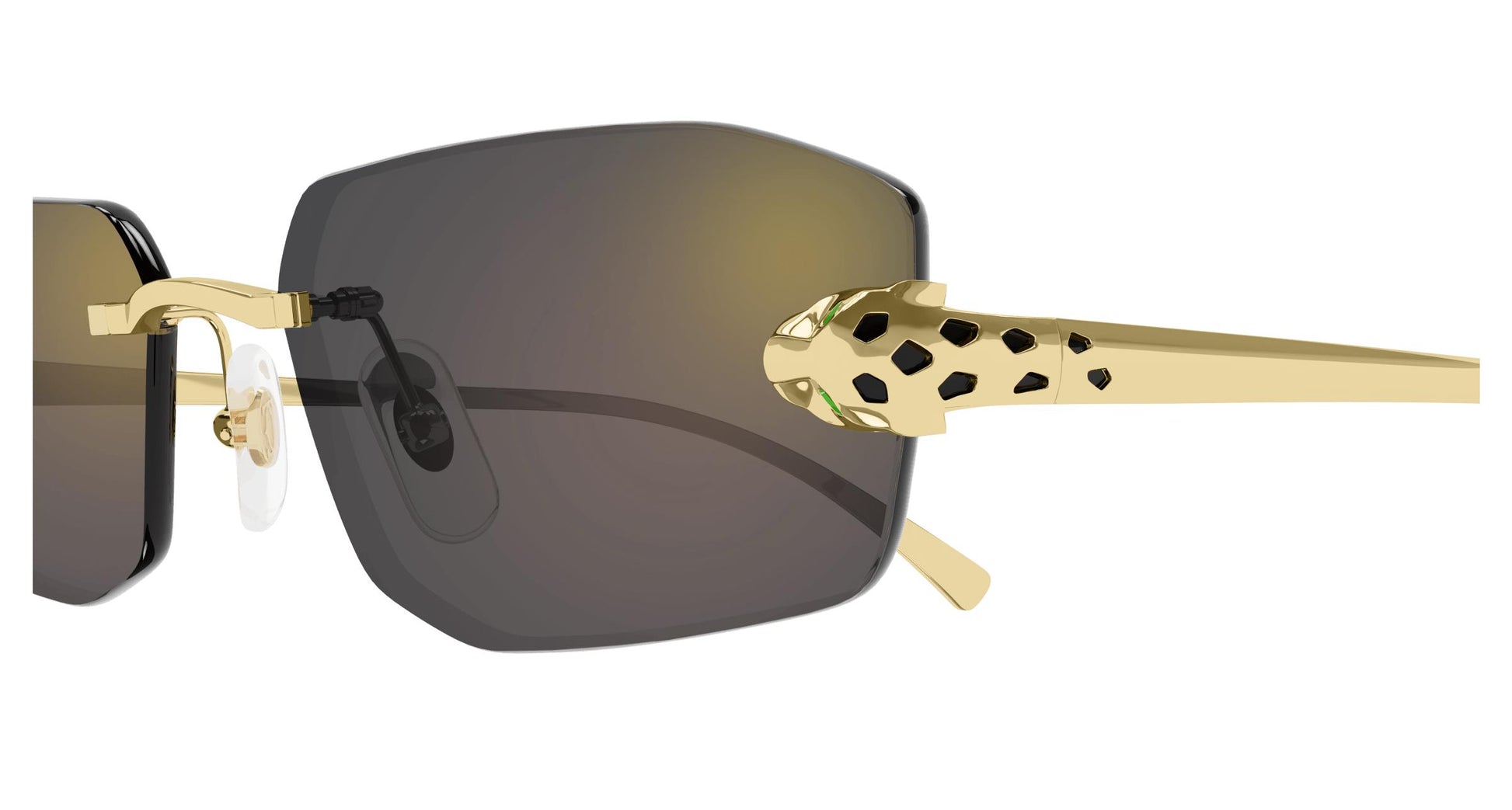 Cartier CT0474S