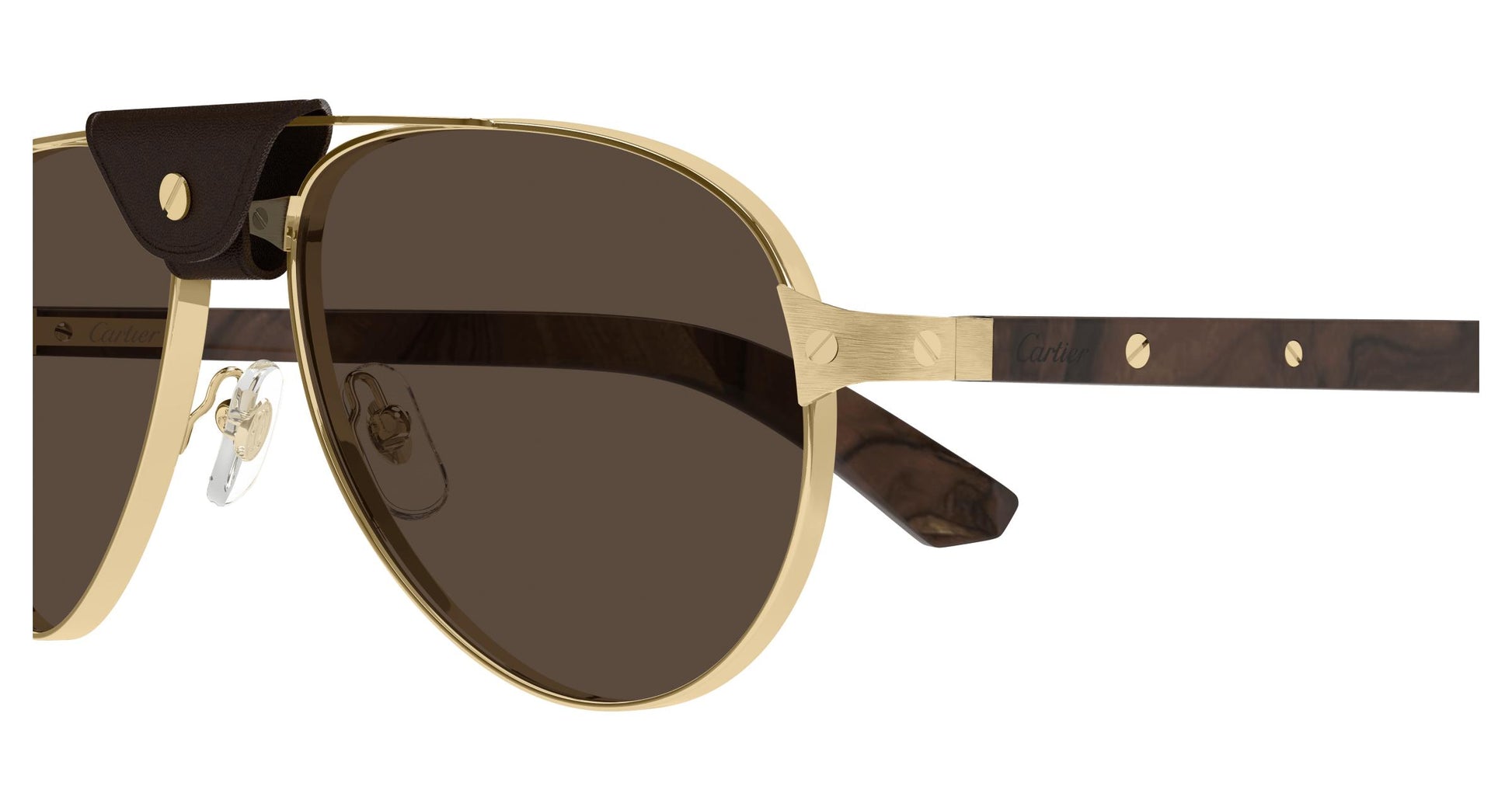 Cartier CT0495S